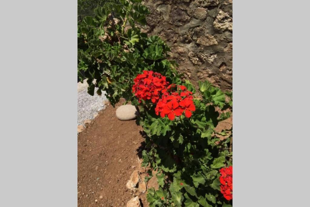 Gerani Maison Agios Aimilianos Beautiful View بورتو خيلي المظهر الخارجي الصورة